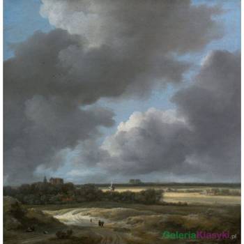 Widok na Alkmaar - Jacob Isaacksz. van Ruisdael